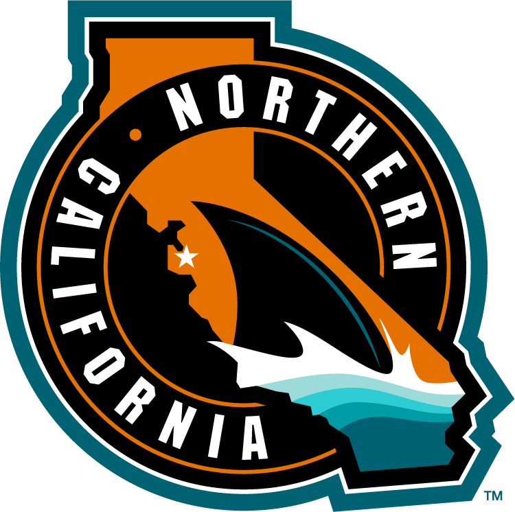 San Jose Sharks 2015 Special Event Logo fabric transfer version 2